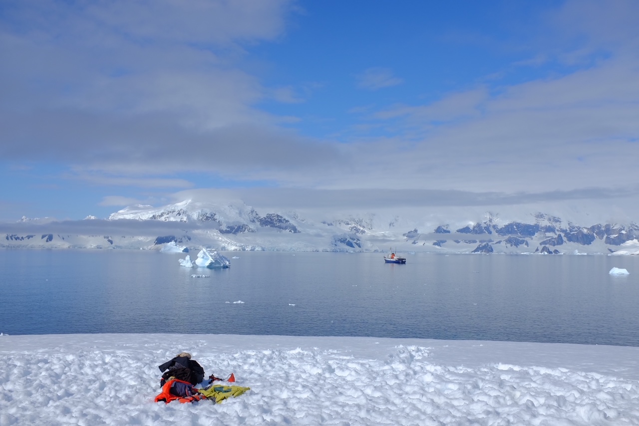 MV Ushuaia in the bay