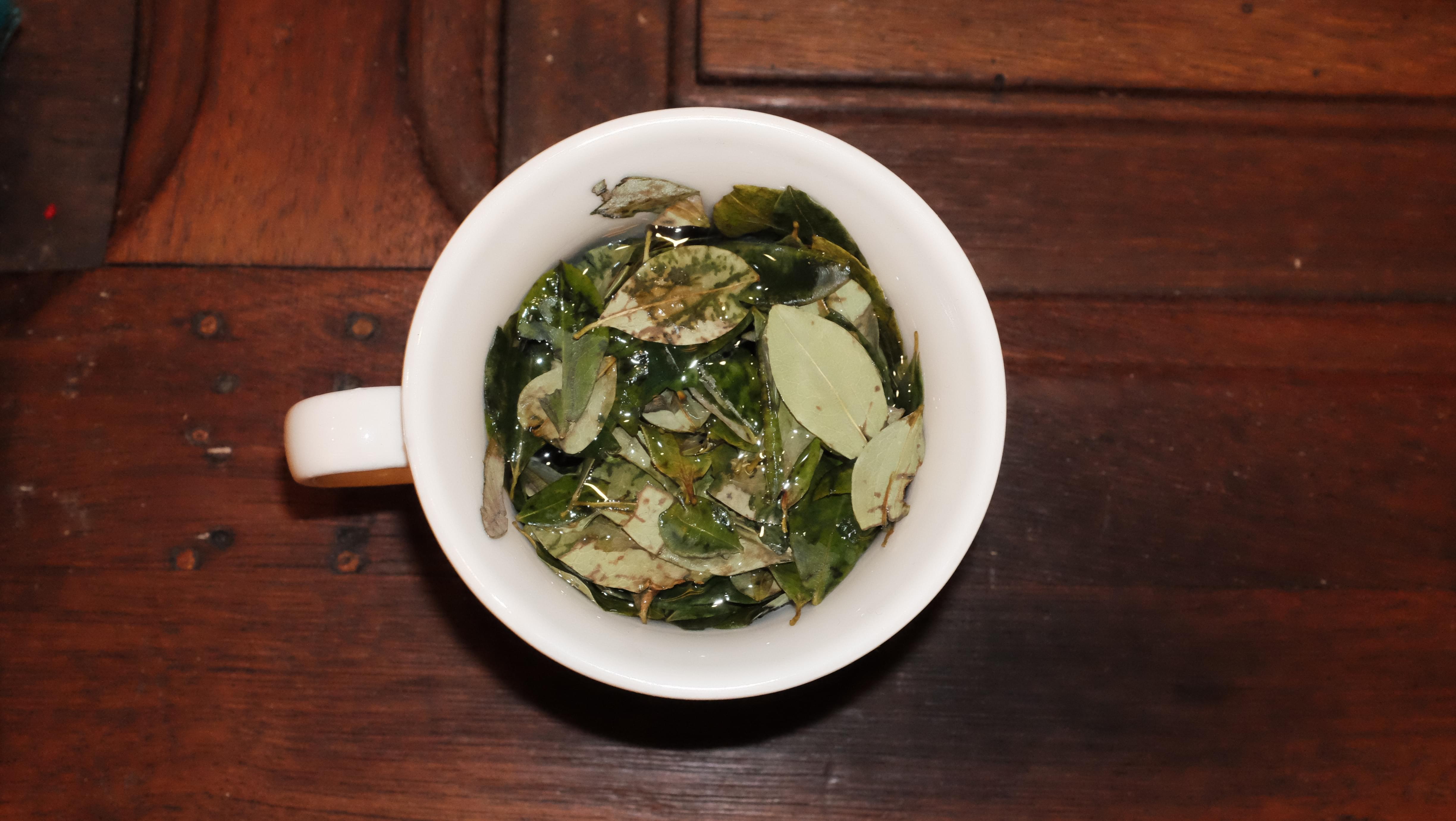 Coca tea