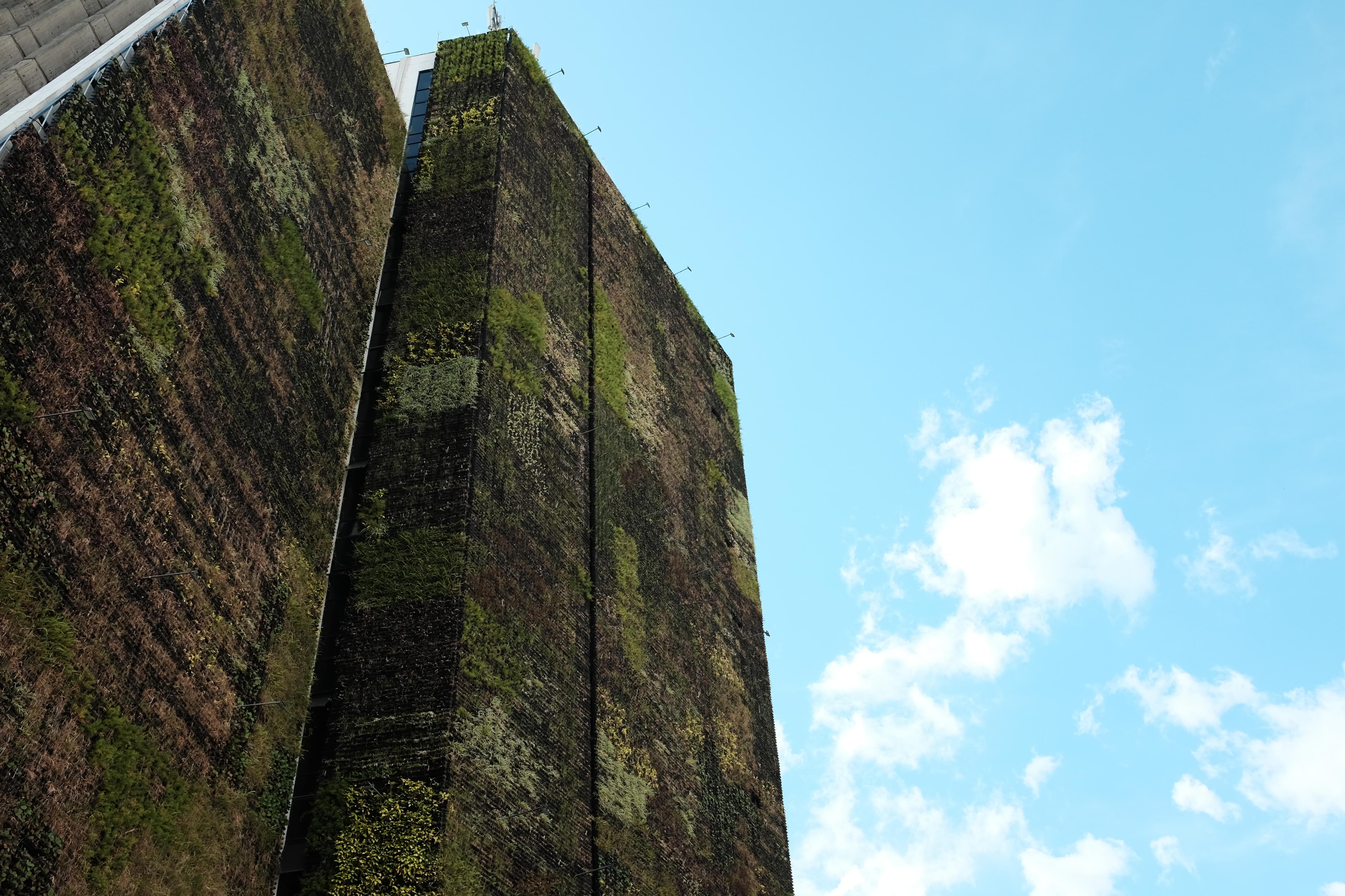 Building with plan wall