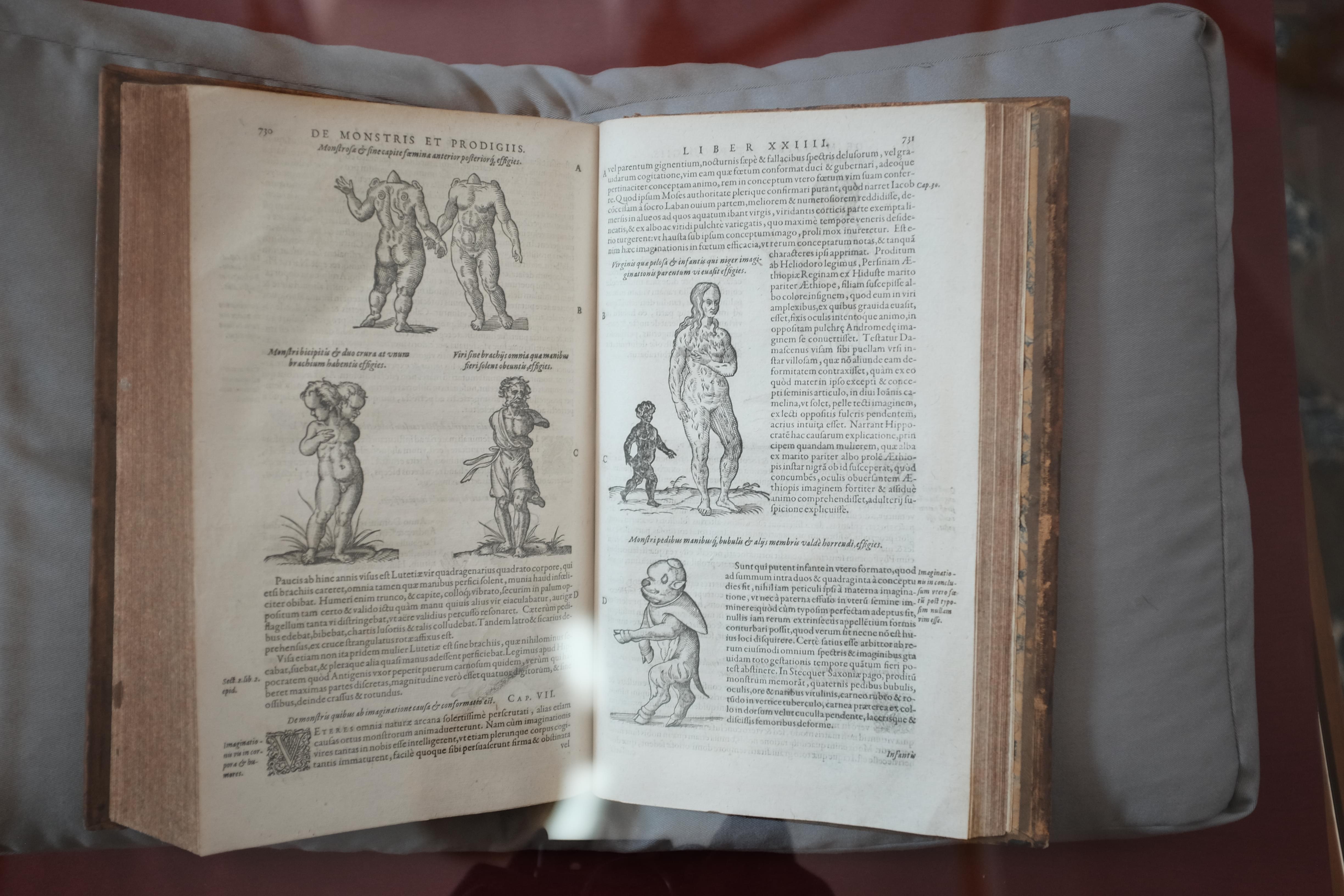 Book in the Palafox Library